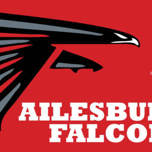 Ailesbury Falcons Logo 2019